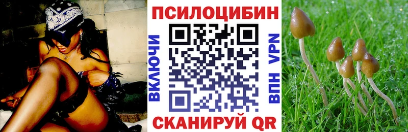 где можно купить наркотик  Россошь  Псилоцибиновые грибы прущие грибы 